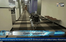 เปิดตัว “หุ่นยนต์สุนัข”