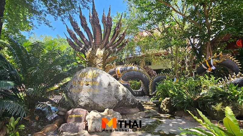 ดงพญานาค