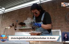 นักประดิษฐ์สติเฟื่องในจีนมีผู้ติดตามโซเชียล 10 ล้านคน