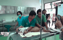 เก้งท้องแก่วัย4ปีถูกสุนัขกัดตายแล้ว