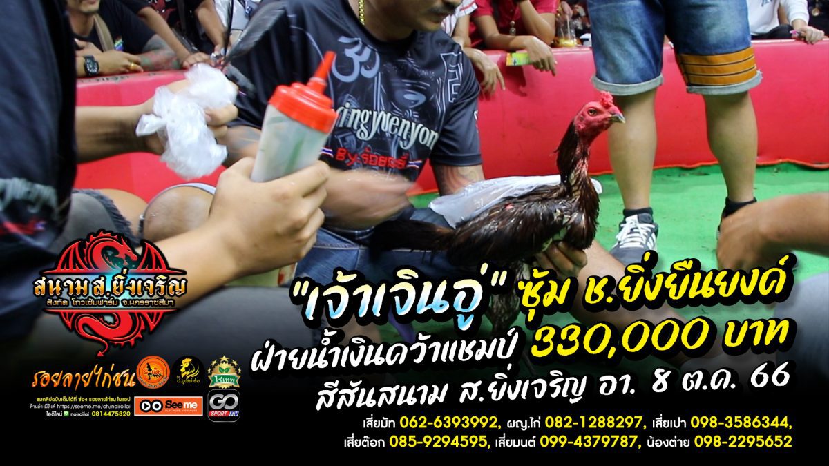 "เจ้าฮาแลนด์" ซุ้มบ้านสวนพิญญาพัชญ์ฟาร์ม สังกัด รวมพลัง ชนะยกที่ 4 แชมป์ 1,100,000 บ. สีสันสนาม ส.ยิ่งเจริญ อา 8 ต.ค. 66