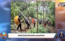 แจ้งจับจัดทริปทัวร์เถื่อนดอยหัวช้าง