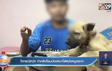 วิจารณ์หนัก ทำคลิปโยนน้องหมาใส่หม้อหมูกระทะ
