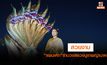 สวยงาม!!! “แพนเค้ก เขมนิจ” ร่วมรำบวงสรวงบูชาพญานาค คนรอชมบั้งไฟแน่นที่หนองคาย