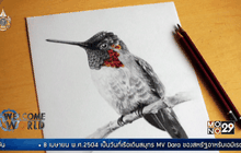 วันที่ 8 เมษายนของทุกปี วัน “วาดรูปนก”