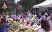 ​เชียงใหม่พิธีเลี้ยงศาลปะกำ สืบสานประเพณีคนเลี้ยงช้าง