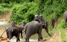 จับตากลุ่มป่าแก่งกระจานสู่มรดกโลก ตอน 1