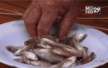 โรคพยาธิใบไม้ตับ ป้องกันได้