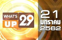 What’s up 29 21-01-62