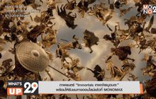 ภาพยนตร์ “Immortals เทพเจ้าธนูอมตะ”  พร้อมให้รับชมทางออนไลน์แล้วที่ MONOMAX