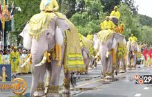 คชลีลาเทิดพระเกียรติ ในหลวงร.10