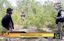 ลักลอบตัดไม้ป่าภูแลนคา จ.ชัยภูมิ