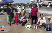 ประท้วงนำปลามาปล่อยถนนเป็นหลุมน้ำท่วมขัง