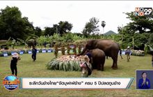 ระลึกวันช้างไทย “จัดบุฟเฟ่ช้าง” ครบ 5 ปีปลดกูบช้าง