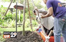 สหพัฒนพิบูล จัดกิจกรรมปลูกต้นไม้ ณ สวนอุทยานพุทธมณฑล