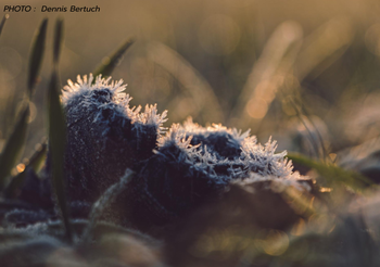 พยากรณ์อากาศ วันนี้ 10 ธ.ค.