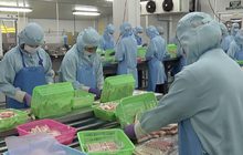 สภาลูกจ้างเรียกร้องให้รัฐช่วยเหลือแรงงานนอกระบบ