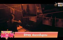 Stray ผีอยากเป็นลูกคน