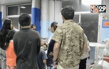 ไล่ล่าขบวนการลักลอบตัดไม้อุทยานฯภูเขียว