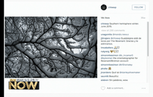 ออสการ์3ปีซ้อน “เอ็มมานูเอล ลูเบซกี้” ไม่ได้มีดีเพราะโชคช่วย