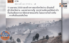 ประชาชนเชื่อร่วมปลูกป่า จ.น่าน ไม่ใช่ทางออก