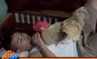 “น้องภูมิ” ไก่พันธุ์เนื้อ ชอบกินนอนอยู่กับคน