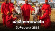 วันพืชมงคล2568 พระโคกินอะไร – ผลการเสี่ยงทายพระโค – ผ้านุ่งพระยาแรกนา