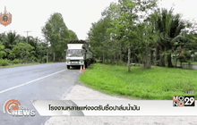 โรงงานหลายแห่งงดรับซื้อปาล์มน้ำมัน