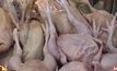 ความต้องการไก่ไหว้เจ้าช่วงตรุษจีน เพิ่มขึ้น 15%
