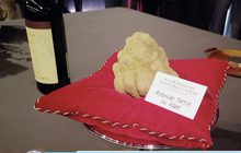งานประมูลเห็ดทรัฟเฟิลขาวในอิตาลี