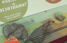 พิพิธภัณฑ์การเกษตร แหล่งเรียนรู้เพื่อคนรักเกษตร