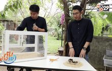 เจษฎาพาลุย:  Mini Zoo Cafe สัตว์แปลกที่คุณก็สามารถเลี้ยงได้ ตอนที่ 2