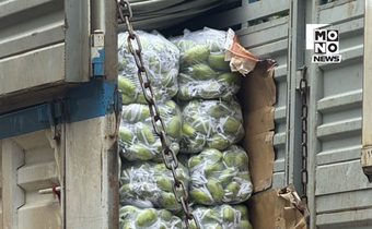 ลักลอบนำเข้า “มะม่วงแก้วขมิ้น” ทะลักตลาดไทย ผู้ปลูกเดือดราคาดิ่ง