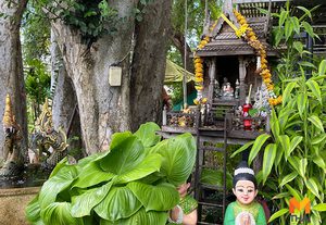 วิธีไหว้พระภูมิเจ้าที่ พร้อมบทสวดขอพรให้ดูแลคุ้มครองบ้าน