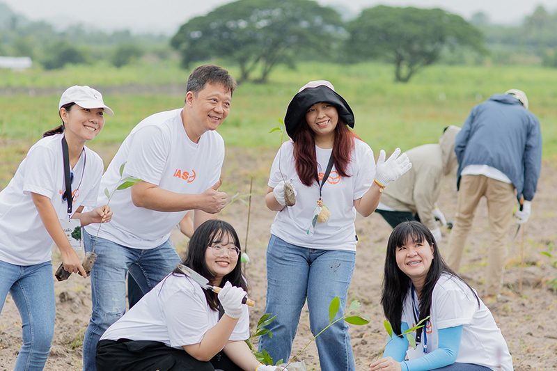 ปลูกป่า