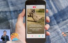 ระดมเงินผสมพันธุ์แรดขาวเหนือผ่านเว็บ Tinder