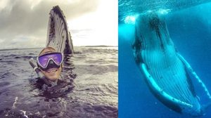 โฟโต้บอมบ์! หนุ่มออสเตรเลีย วัย 24 ปี ถ่ายเซลฟี่กับวาฬกลางมหาสมุทร