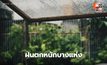 สภาพอากาศวันนี้ มีฝนฟ้าคะนอง – ฝนตกหนักบางแห่ง