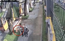 คนเร่ร่อนโยนถังดับเพลิงป่วนช่อง 5