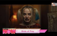 Birds of Prey