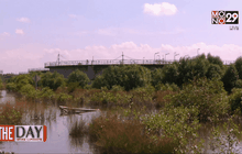 The Day News Update 18-12-58