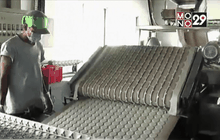 ผลสำรวจชี้เอสเอ็มอีเสี่ยงขาดสภาพคล่อง