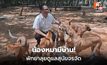 พัทยาลงพื้นที่ศูนย์พักพิงสุนัขจรจัด เตรียมสร้างแห่งใหม่ 30 ไร่