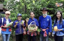 กินใช้ เที่ยวในไทย ไปกับ พช. – ปลูกผักสวนครัว เพื่อสร้างความมั่นคงทางอาหาร