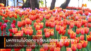 มหกรรมไม้ดอกอาเซียนเชียงราย 2019 ชมดอกไม้บานในสายลมหนาว