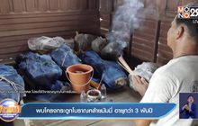 พบโครงกระดูกโบราณคล้ายมัมมี่ อายุกว่า 3 พันปี