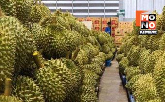 เปิดสถิติการค้าเกษตร 8 เดือน ไทยเกินดุล 7 แสนล้าน “ทุเรียน” ครองแชมป์ส่งออกจีน