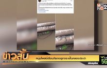 หนุ่มโพสต์เตือนภัยเจอลูกจระเข้ในคลองประปา