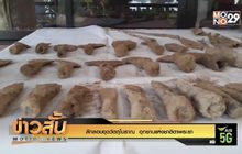 ลักลอบขุดวัตถุโบราณ  อุทยานแห่งชาติตาพระยา