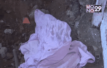 พบ 7 ศพ ถูกฝังหลังบ้านจิตรกรในบราซิล